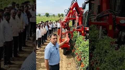 टमाटर उतार ने की नई मशीन #desi #jugaad #trending #chacha #jugad#reels#रील्स #desijugaad#ai