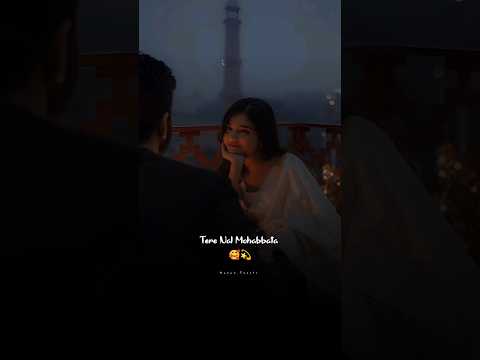 tere nal mohabbat 😊💞|b prak | new punjabi song #romanticstatus #trending #song #romantic