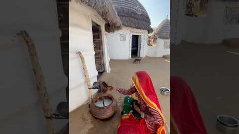 गाँव में देशी घी बनाने की विधि #village #cooking #food #desi #lifestyle #viral #shorts