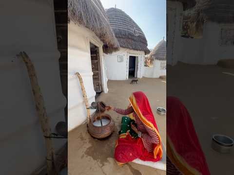 गाँव में देशी घी बनाने की विधि #village #cooking #food #desi #lifestyle #viral #shorts