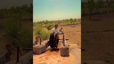 भीषण तेज गर्मी में पानी का संघर्ष #Desi #villagelife# rajasthan# calchar# Short.