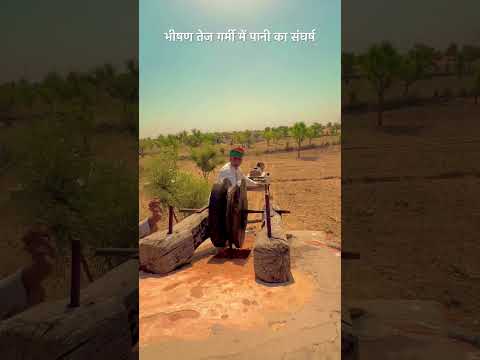 भीषण तेज गर्मी में पानी का संघर्ष #Desi #villagelife# rajasthan# calchar# Short.