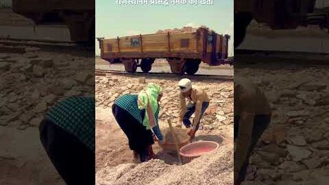 प्रसिद्ध नमक की खेती #Desi #rajastan #reels #youtubeshorts