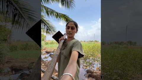 Desi mini vlog #village #vlog #gujrati #desi