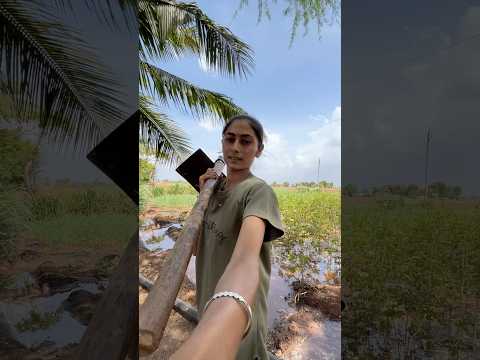 Desi mini vlog #village #vlog #gujrati #desi