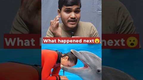 The Truth Behind the Viral Jessica Radcliffe Dolphin Attack Story #viralvideo #shortsfeed