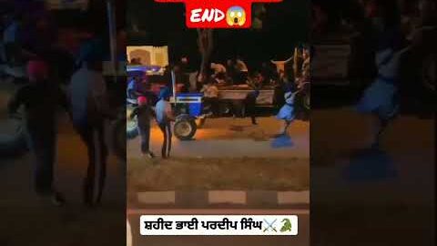 Nihang Singh Fight Scene |Watch Till End | #viral #sikh #khalsa #sikhi