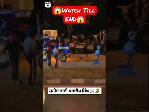 Nihang Singh Fight Scene |Watch Till End | #viral #sikh #khalsa #sikhi