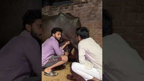 Desi balak #explorepage #desi #balak #brither