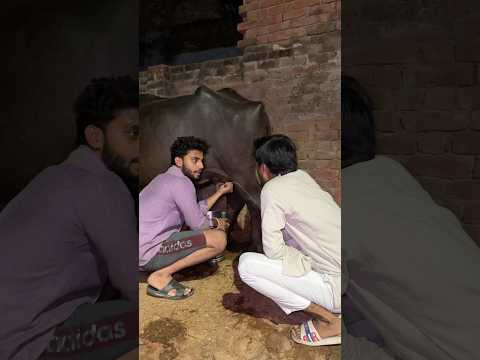 Desi balak #explorepage #desi #balak #brither