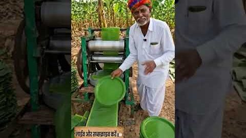kele ka pattal banane ka desi jugaad#desi #jugaad #ai #shorts