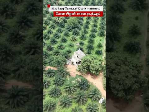 40 ஏக்கர் தோட்டத்தில் காணாமல் போன சிறுமி; என்ன நடந்தது?