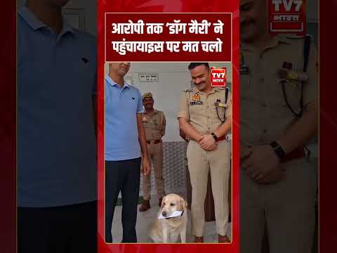 Sambhal : मासूम के गुनहगार को ढूंढ निकाला डॉग ‘मेरी’, मिला 10,000 का इनाम