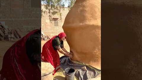 100 साल पुराना धान स्टोर #village #food #desi #dhan #storge #house #old #culture #shorts
