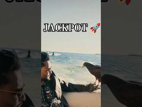 Cheema Y – JACKPOT | New Punjabi Song 2026 ❤️‍🩹 #punjabistatus #punjabisong #shorts #viral