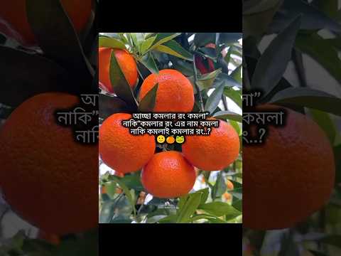 আচ্ছা কমলার রং কমলা নাকি কমলার রং এর নাম কমলা #shorts #foryou #viralvideo #ytshorts #btsarmyforever
