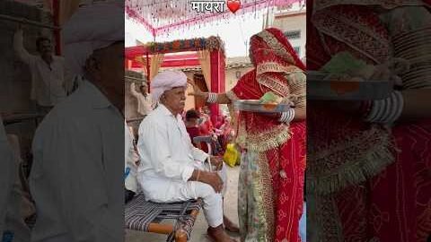 मायरा ❤️#marwadi #rajasthani #yt #ytshorts #youtube #shorts #desi #vlog #viral #trend #video