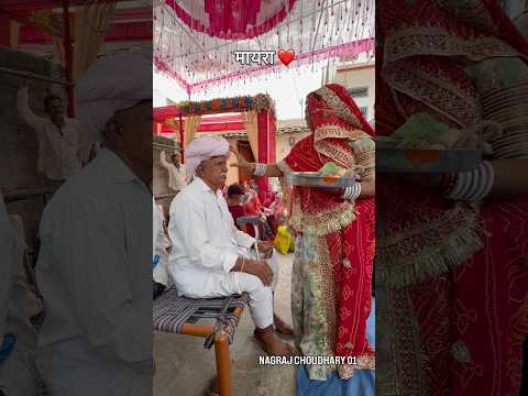 मायरा ❤️#marwadi #rajasthani #yt #ytshorts #youtube #shorts #desi #vlog #viral #trend #video
