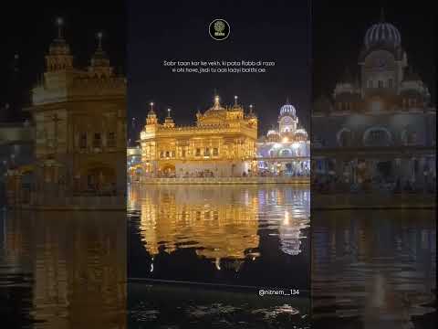 TRUMP (Official Music Video) Cheema Y |Gur Sidhu | New Punjabi Song 2024 #harmandirsahib #trend