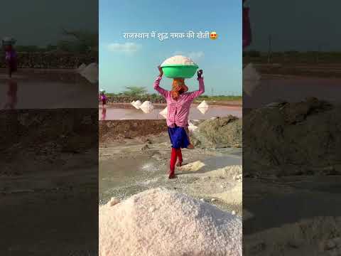राजस्थान में शुद्ध नमक की खेती😍 #viralvideo #rajasthani #desi #shorts #sukoon #viral #trending