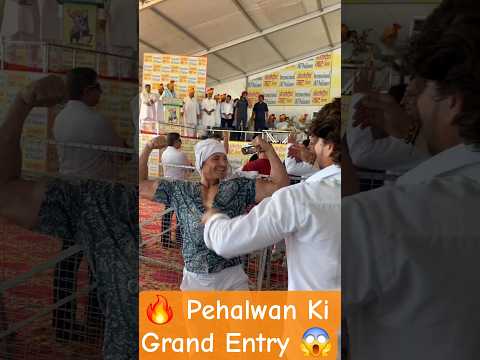Desi Pehalwan Entry 💪🔥 | Public Event Ka Powerful Moment #shorts