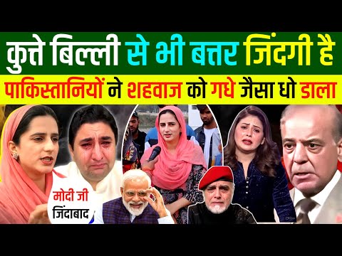 🇮🇳IND कश्मीरी ने 🇵🇰पाकिस्तानियों को औकात दिखाई 🤔| Pakistani Reaction