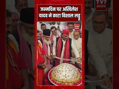 जन्मदिन पर Akhilesh Yadav ने काटा विशाल Laddu | #shorts #tv7bharat #akhileshyadav