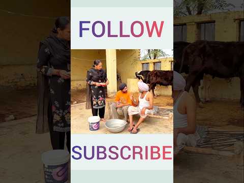 ਘਰ ਦਾ ਮੁਖੀ ਆਂ ਮੈਂ😂😂😂 #desi #punjabi #comedy #webseries #shorts #video #funny #pendu