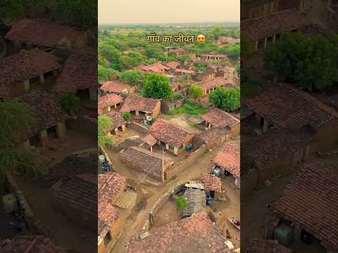 गाँव का सुकूनभरा जीवन 😍 #gaon #village #village #sukoon #desi #life #youtubeshorts #rajasthan #reel