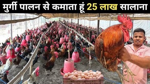 200 से 13500 देशी मुर्गी का सफर | Desi Murgi Palan | Desi Poultry Farm Business Plan
