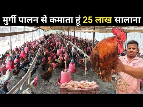 200 से 13500 देशी मुर्गी का सफर | Desi Murgi Palan | Desi Poultry Farm Business Plan