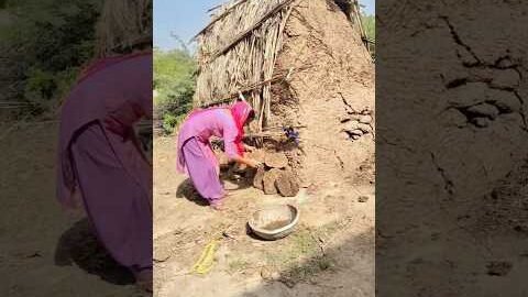 #viral #shortvideo #vlog #minivlog #like #dailyvlog #viralvideo #desi #haryanvi