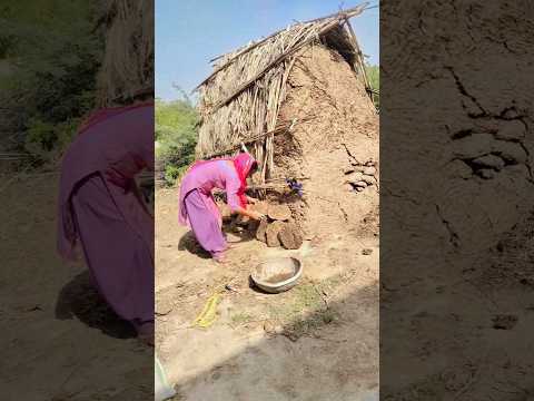 #viral #shortvideo #vlog #minivlog #like #dailyvlog #viralvideo #desi #haryanvi