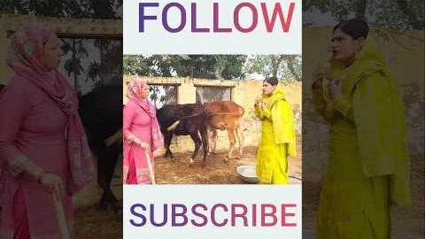 ਮਾਂ ਲੱਗੀ ਵਹਮਣ ਜੀ😂😂😂 #desi #punjabi #comedy #webseries #shorts #video #funny #pendu