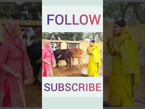 ਮਾਂ ਲੱਗੀ ਵਹਮਣ ਜੀ😂😂😂 #desi #punjabi #comedy #webseries #shorts #video #funny #pendu