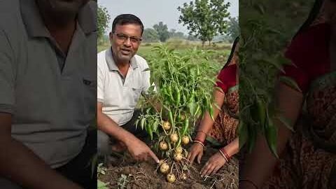 #motivation #kishan #tarndeng #desi #kisan ka desi jugad #love #kisan ka experiment