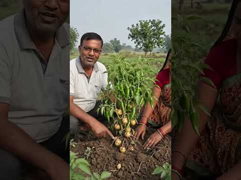 #motivation #kishan #tarndeng #desi #kisan ka desi jugad #love #kisan ka experiment