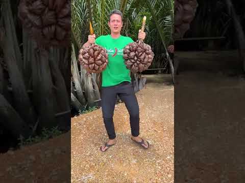 The Most Unique Fruit in the World – Here’s How You Eat It! #Shorts