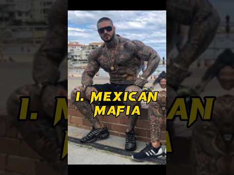 Top 10 Mafias In The World 🌍 #shorts #viral #mafia #2023 #factfusion369