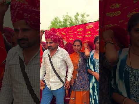 बंदौला 😍 Part 2 #villagelife #lifestyle #culture #desi #food #foodie #enjoy #rajasthan #shorts
