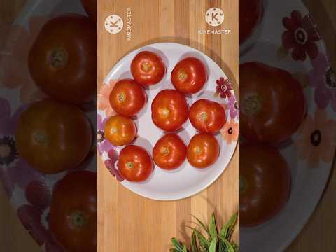 Tamatar ki chutney sil batta pe #desi #recipes #food #viralvideos# sanskritismom  Mom