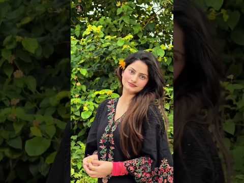 Dil Diyan Gallan / B Praak / Latest Punjabi Songs 2026 / New Punjabi Song 2026 / #newpunjabisong