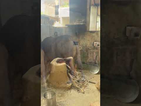 seher ki bheed se dur #gao #villagelife #villagelifestyle #desi #viral #trending #foryou #shorts