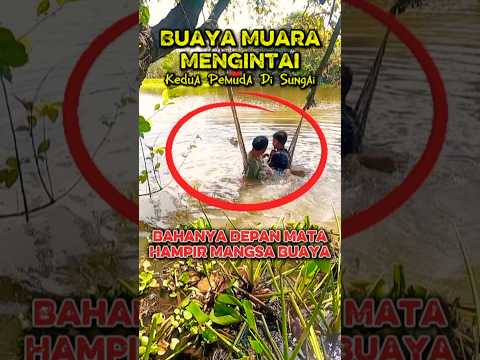 🔥Hampir Mangsa Buaya🐊#viralvideo #viral #short #shortvideo #fypシ #fypシ゚viral #trending #fyp #news