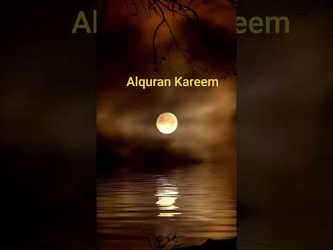 Beautiful Islamic status on Muslim 4k Islamic status #Islam #allah #ytshort like Camnts subscribe