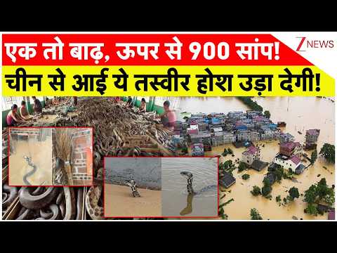 China Flood 2026: एक तो बाढ़, ऊपर से 900 सांप! चीन से आई ये तस्वीर होश उड़ा देगी! | Breaking news