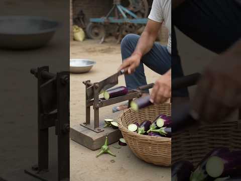 🍆 1 Second Mein Baingan Ki Topi Gayab! 😱 Desi Jugaad Ka Kamaal