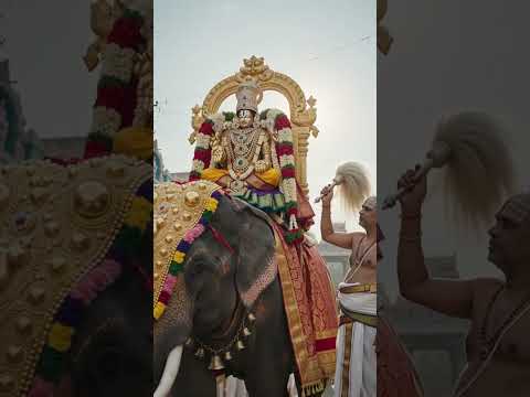 🙏 Apada Mokkula Vada Srinivasa ❤️ Govinda Govinda | Om Namo Venkatesaya ✨