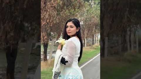 Komagata Maru || Cheema Y  ||(Official Video)|| punjabi singer || new song || New Punjabi Songs2026