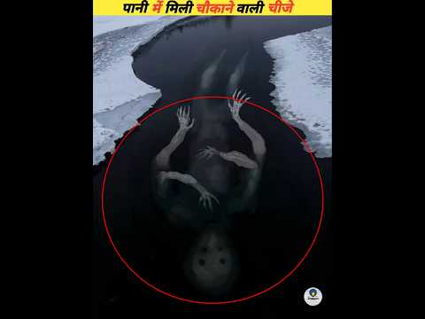 Strange creatures found in the water 🌊 🐣 #viral